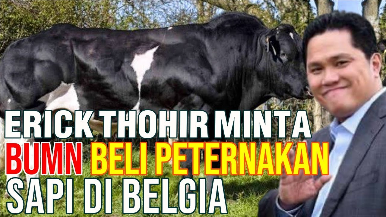 
                                 Erick-Thohir-Minta-BUMN-Beli-Peternakan-Sapi-Di-Belgia